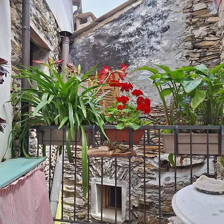 아파트 La Casa Delle Meraviglie