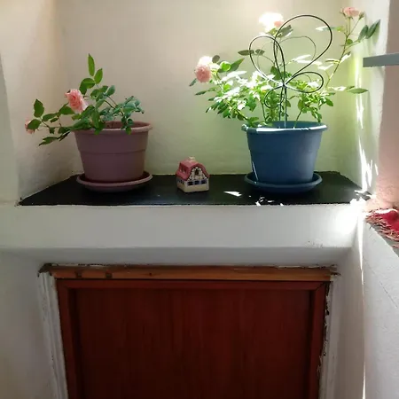 La Casa Delle Meraviglie Prela'