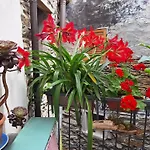 La Casa Delle Meraviglie